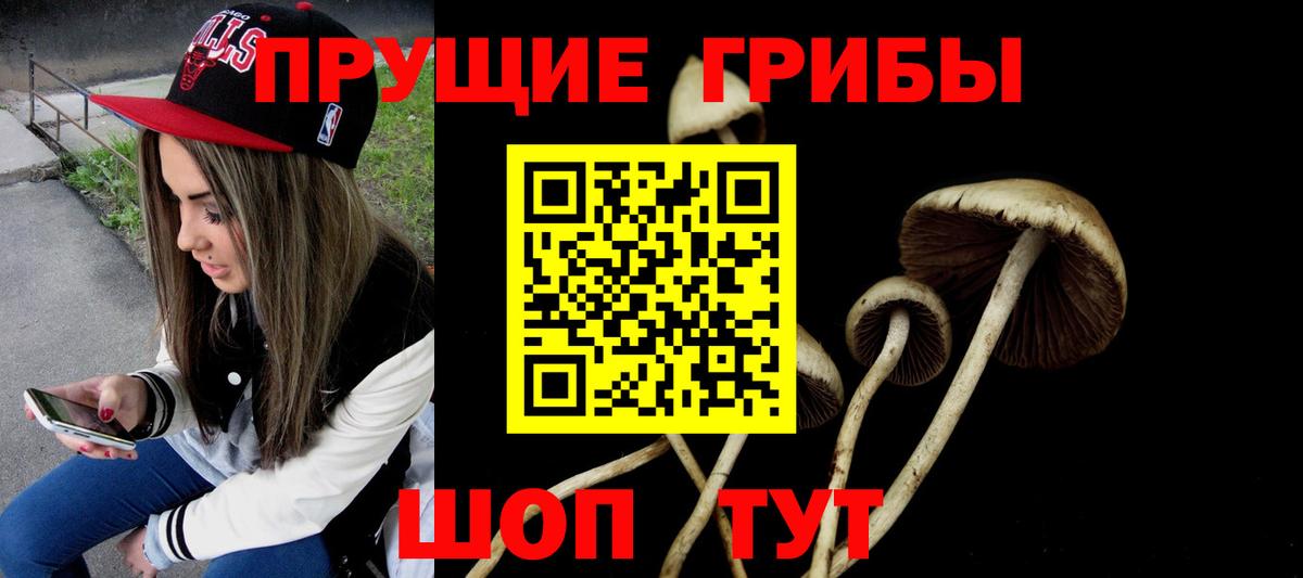Ульяновск  Псилоцибиновые грибы Magic Shrooms  Вход с VPN  Псилоцибиновые грибы прущие грибы 